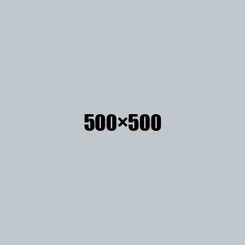 image de remplacement 500 × 500