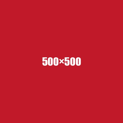 image de remplacement 500 × 500