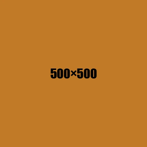 image de remplacement 500 × 500