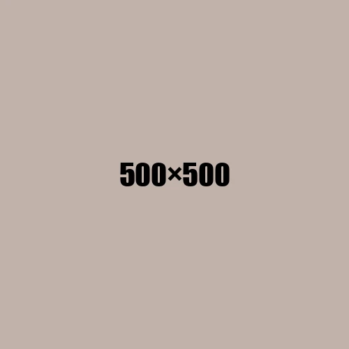 image de remplacement 500 × 500