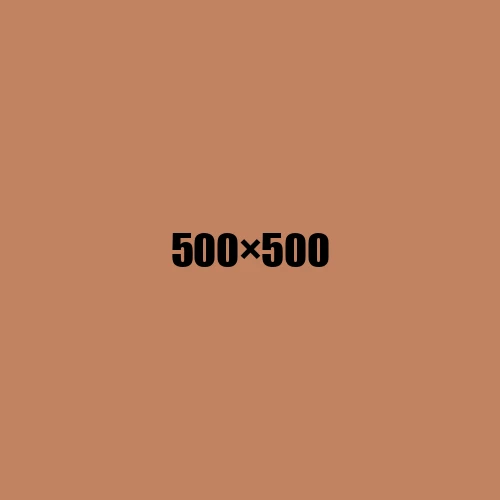 image de remplacement 500 × 500