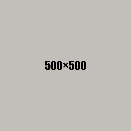 image de remplacement 500 × 500