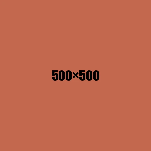 image de remplacement 500 × 500