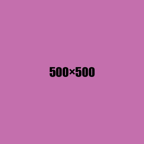 image de remplacement 500 × 500