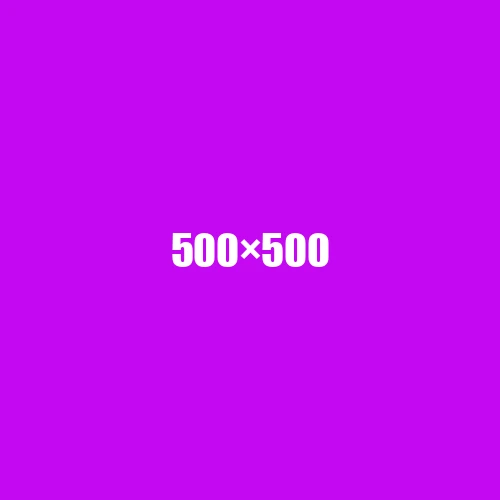 image de remplacement 500 × 500