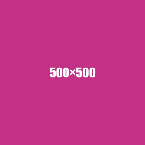 image de remplacement 500 × 500