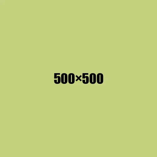 image de remplacement 500 × 500