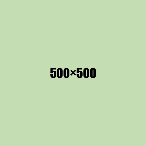 image de remplacement 500 × 500