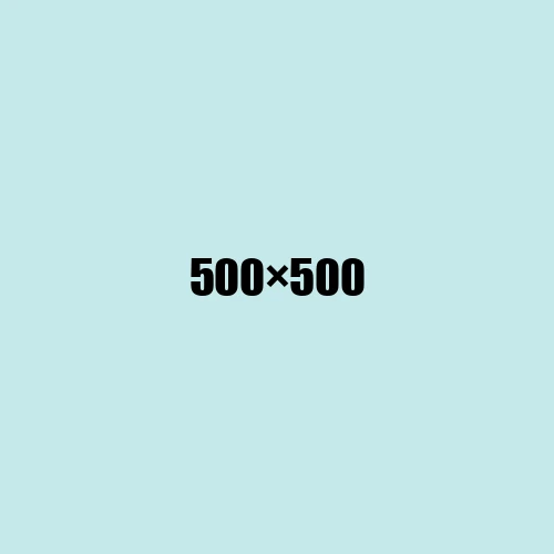image de remplacement 500 × 500