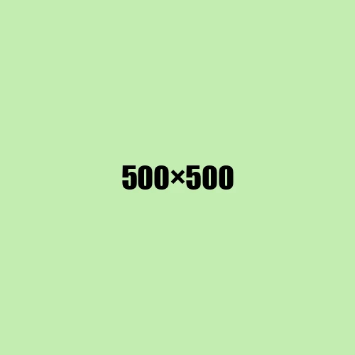 image de remplacement 500 × 500
