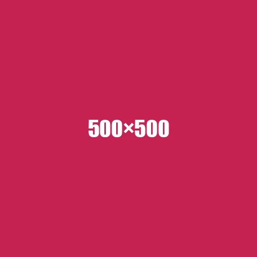 image de remplacement 500 × 500