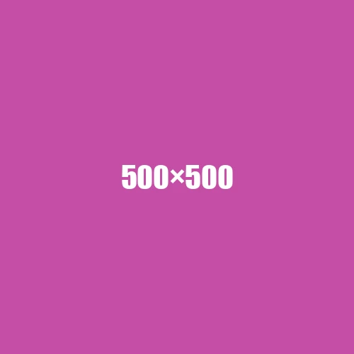 image de remplacement 500 × 500