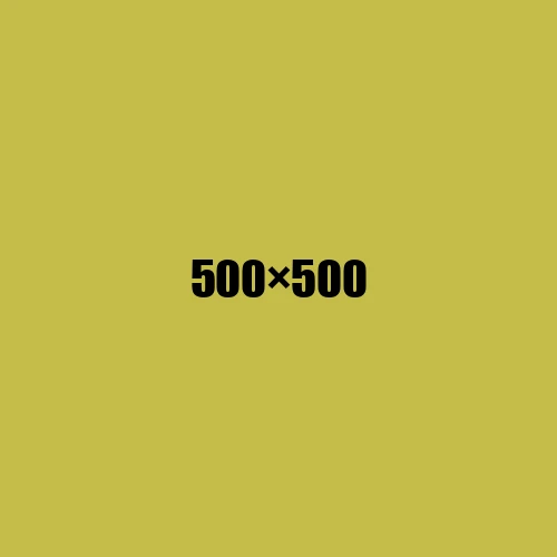 image de remplacement 500 × 500
