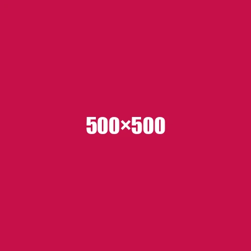 image de remplacement 500 × 500