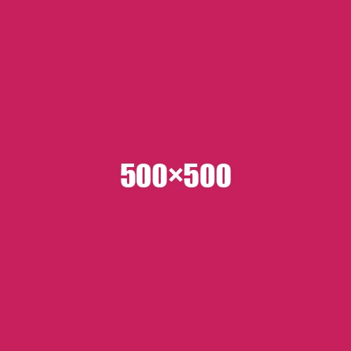image de remplacement 500 × 500