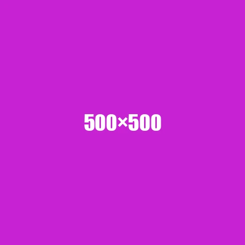 image de remplacement 500 × 500