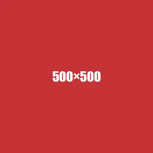 image de remplacement 500 × 500
