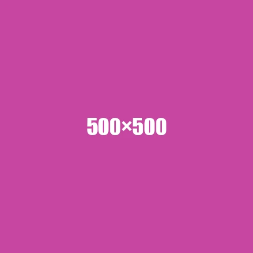 image de remplacement 500 × 500
