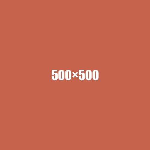 image de remplacement 500 × 500