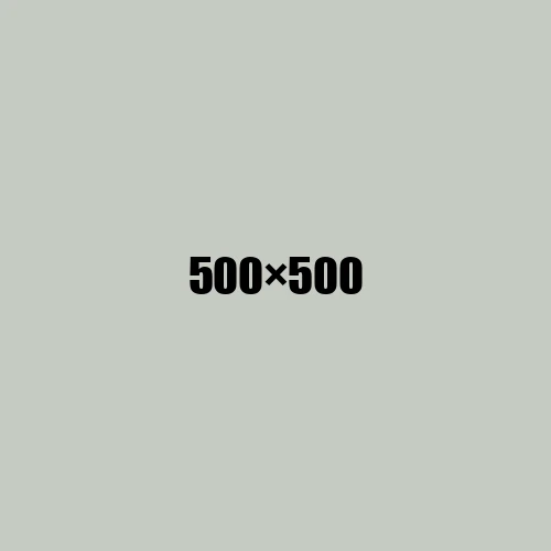 image de remplacement 500 × 500