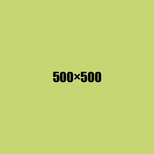 image de remplacement 500 × 500