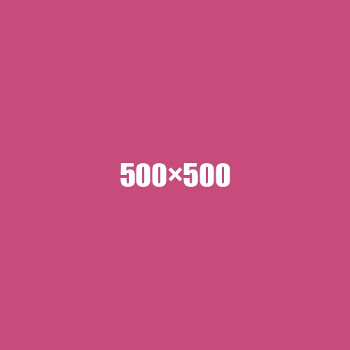 image de remplacement 500 × 500