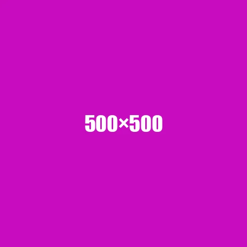 image de remplacement 500 × 500
