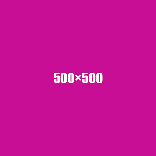 image de remplacement 500 × 500