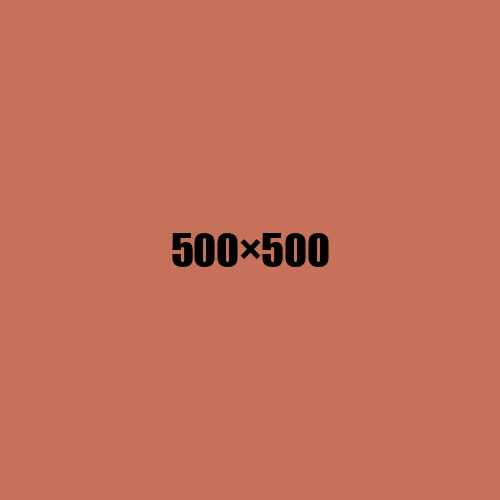 image de remplacement 500 × 500