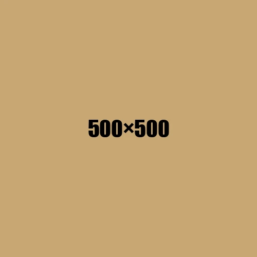 image de remplacement 500 × 500