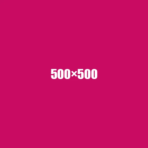 image de remplacement 500 × 500