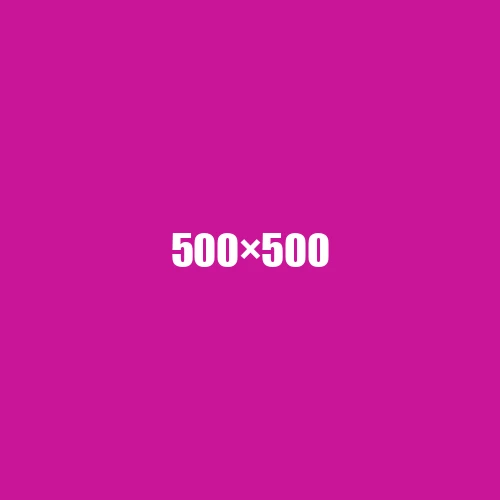 image de remplacement 500 × 500