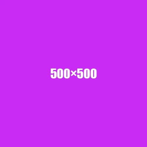 image de remplacement 500 × 500