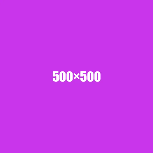 image de remplacement 500 × 500