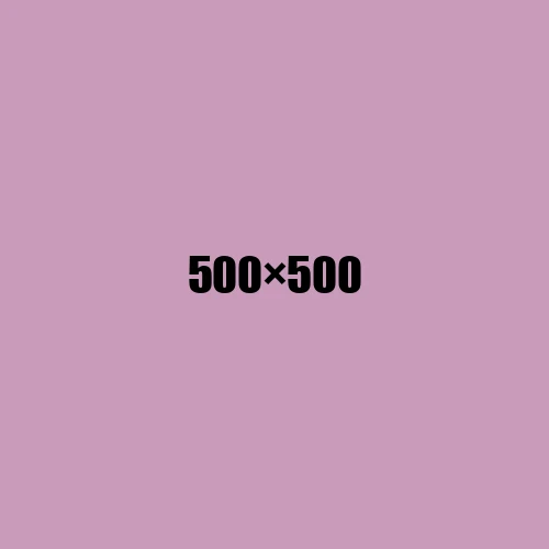 image de remplacement 500 × 500