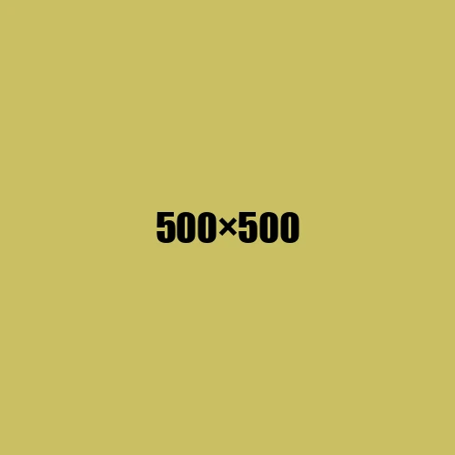 image de remplacement 500 × 500