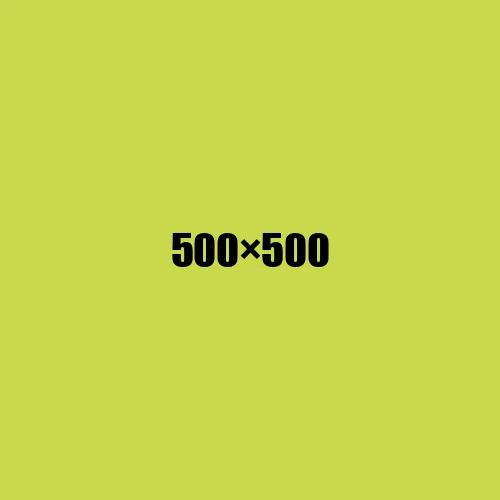 image de remplacement 500 × 500