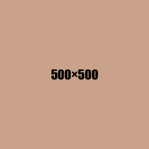 image de remplacement 500 × 500