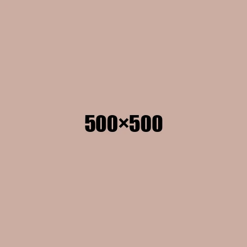 image de remplacement 500 × 500