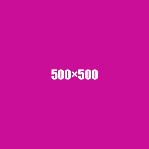 image de remplacement 500 × 500