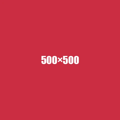 image de remplacement 500 × 500