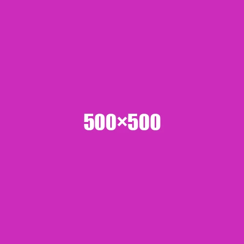 image de remplacement 500 × 500