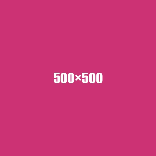image de remplacement 500 × 500