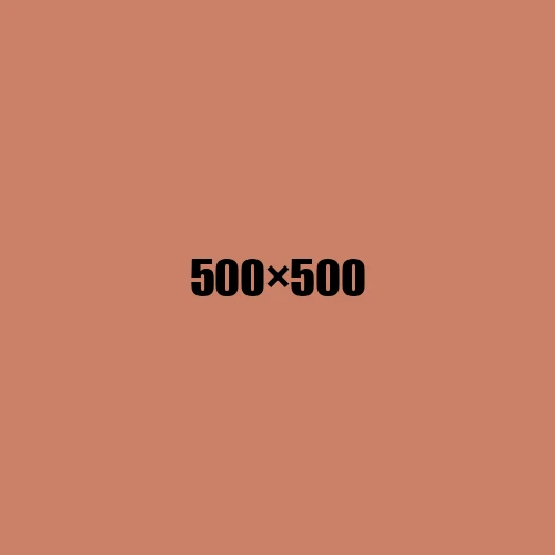 image de remplacement 500 × 500