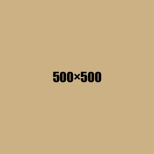 image de remplacement 500 × 500