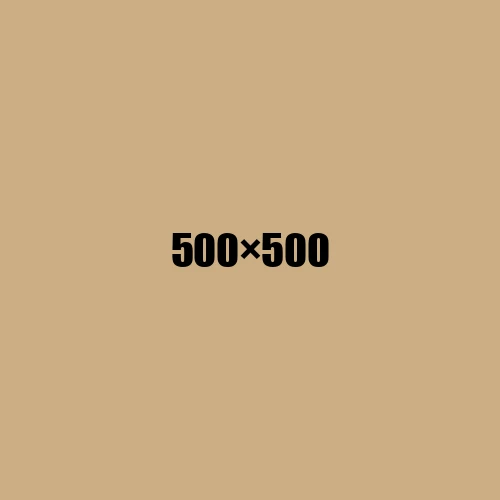 image de remplacement 500 × 500