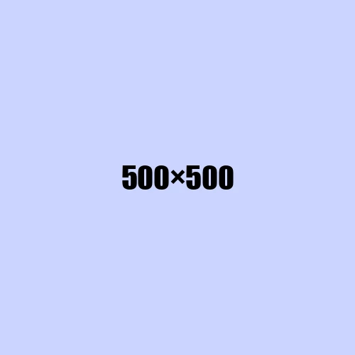 image de remplacement 500 × 500