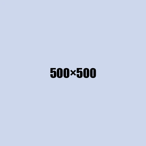 image de remplacement 500 × 500