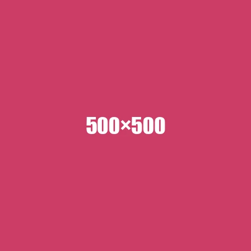 image de remplacement 500 × 500