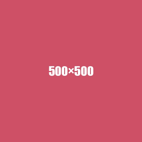 image de remplacement 500 × 500
